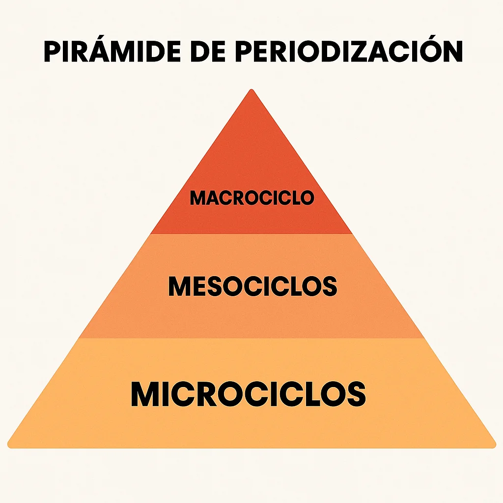Diagrama de la pirámide de periodización: Macrociclo, Mesociclos y Microciclos